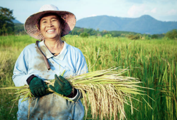 Opportunities for circular bio-economy in Thailand