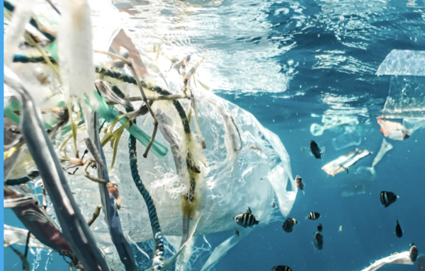 Webinar: Zero Waste in the Caribbean: New ways, new waves