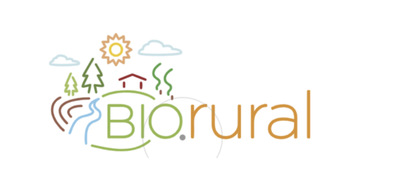 Apply before July 28th to the Circular Bio economy Challenge in Denmark!