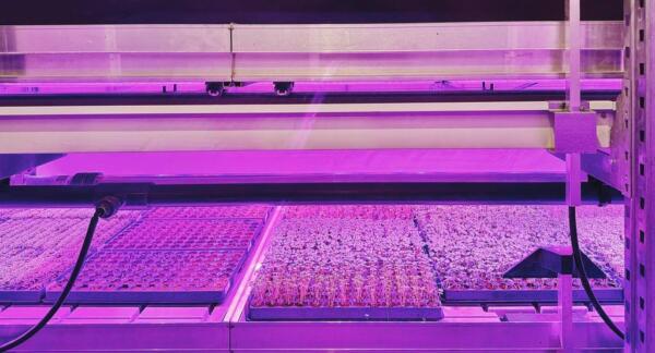 Webinar: Opportunities for Circular Horticulture in Turkey