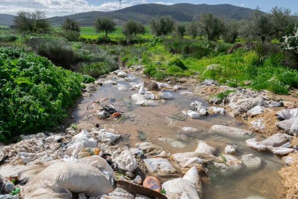 Towards a Circular Economy: Innovations in Sustainable Waste Management