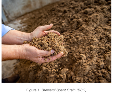 Duynie: Directing the Transition Towards a Circular Agri-Industry